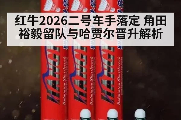 红牛2026二号车手落定 角田裕毅留队与哈贾尔晋升解析